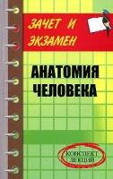 Анатомия человека Конспект лекций артикул 11535d.